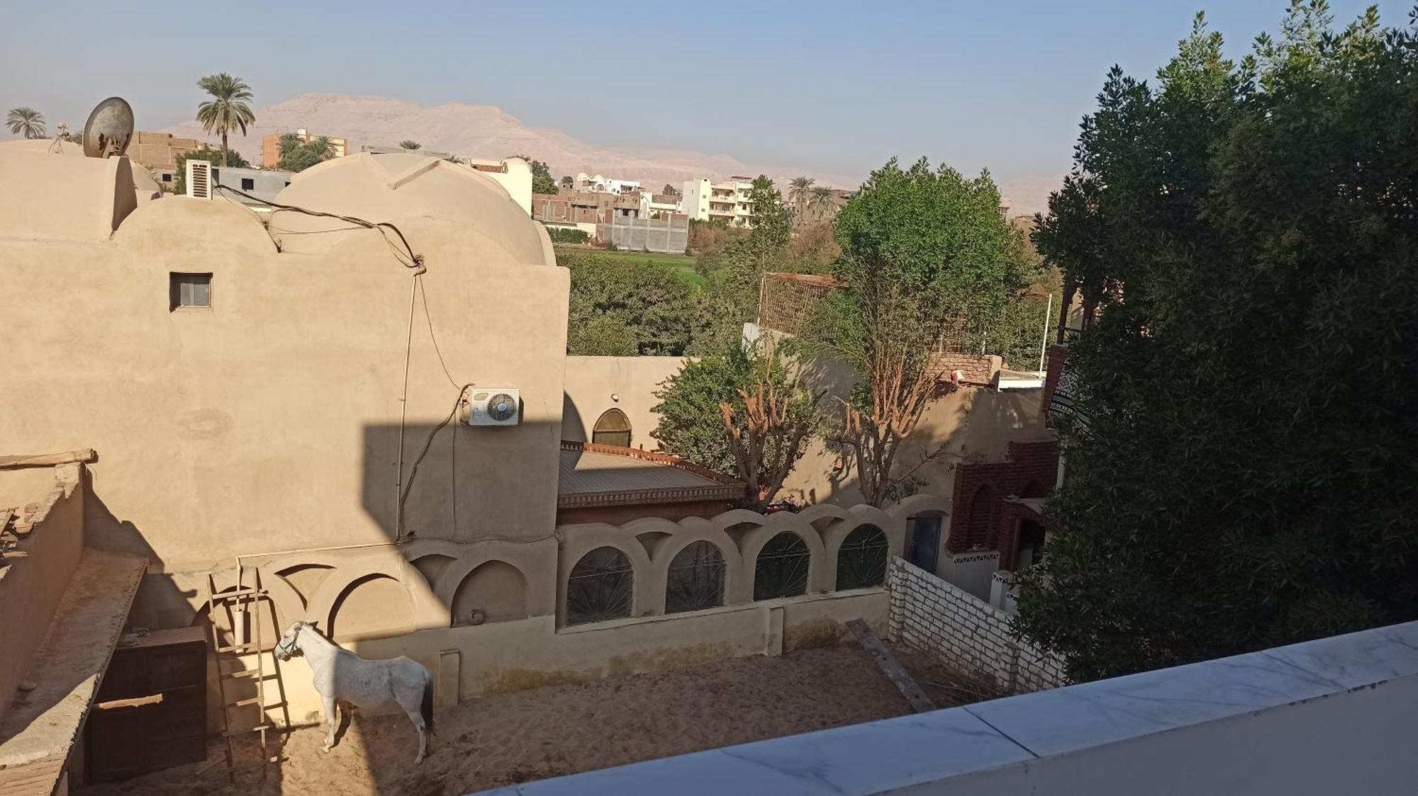 شقة Muhammad Ali House الأقصر