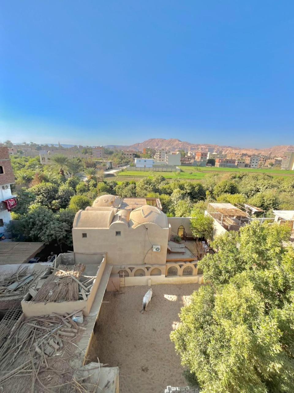 شقة Muhammad Ali House